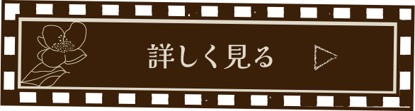 詳しく見る