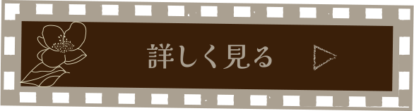 詳しく見る